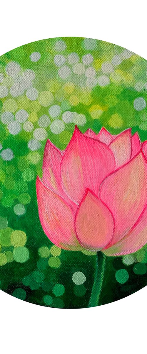 Bokeh mode Lotus! Ready to hang! Pink flower art by Amita Dand