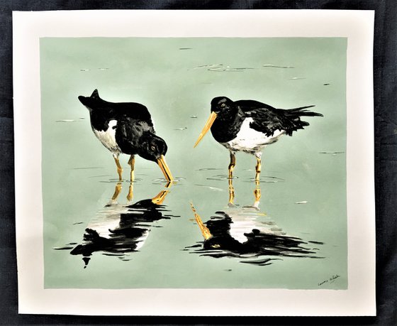 Oystercatchers Wading