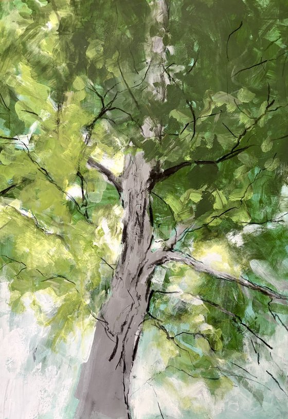 Summer Light