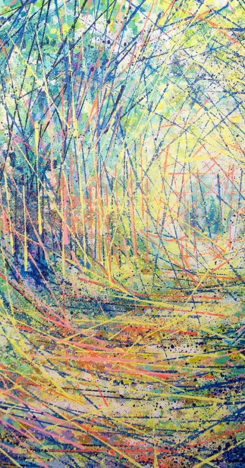 The river path by Marc Todd