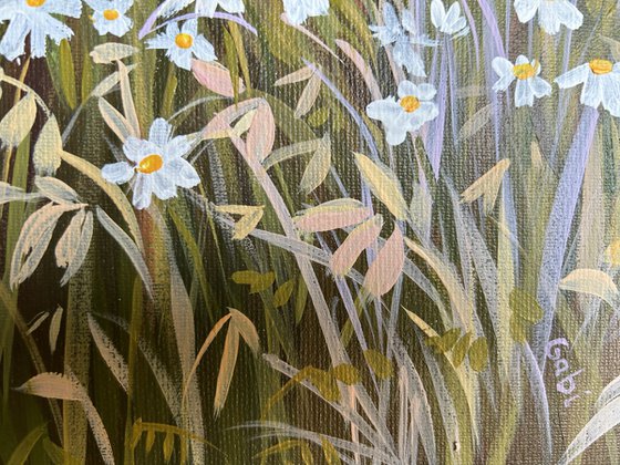 Evening in the Meadow