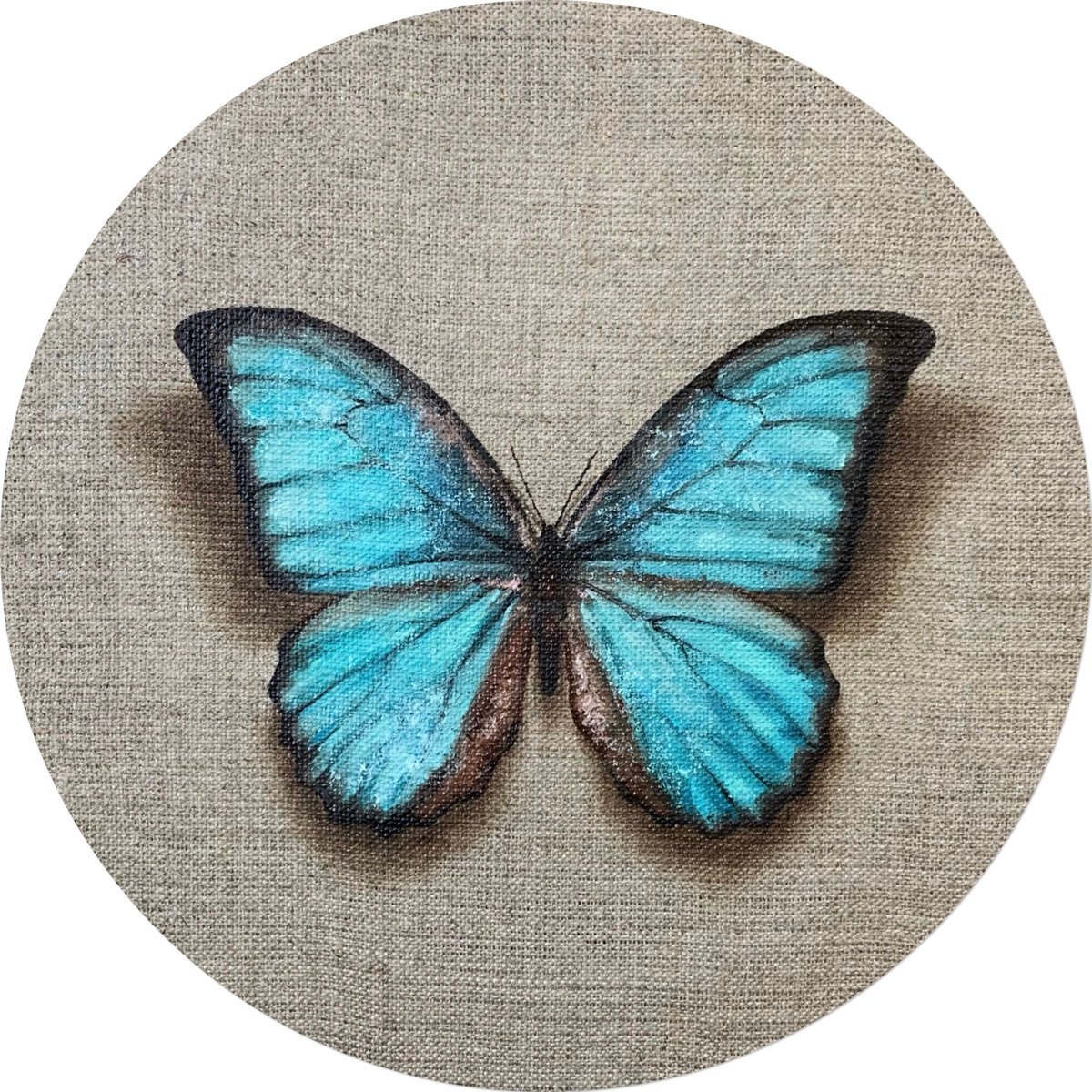 -Impermanent life-? #19 Blue Morpho Menelaus butterfly by Alina Marsovna