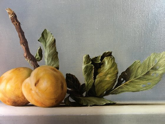 Golden Plums