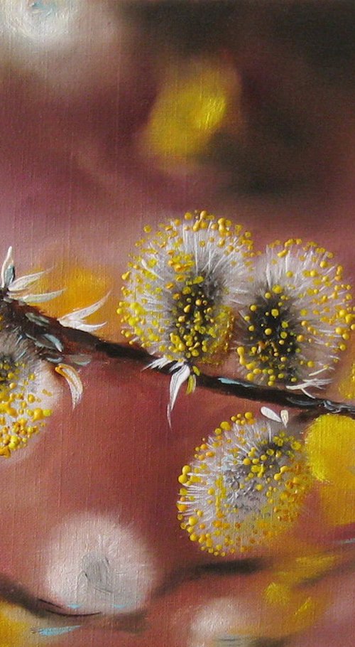 Willow Catkins Oil Painting, Willow Branch Nature Original Small Art Canvas, Spring Scenery Wall Art Realistic Artwork by Natalia Shaykina