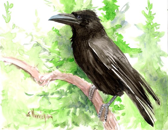 Raven in the Woods