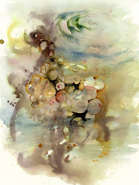 Ripples & Stones