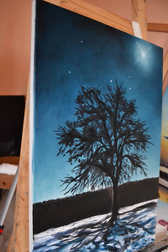 Winter Moon