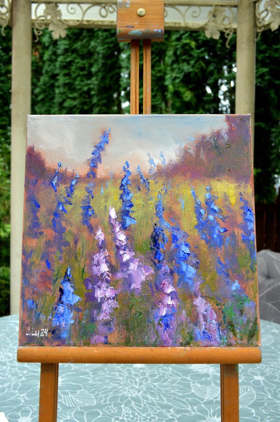 Field of lupines