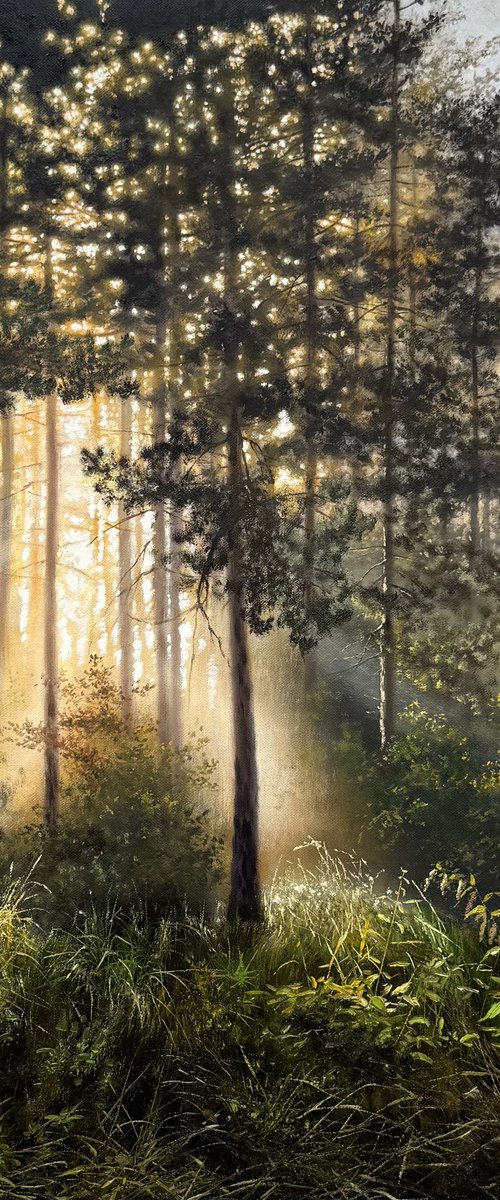Sunrise by Igor Dubovoy