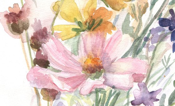 Cosmea surrounded by wildflowers