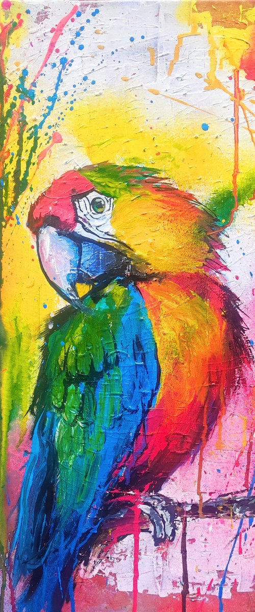 Parrot by beata harasim