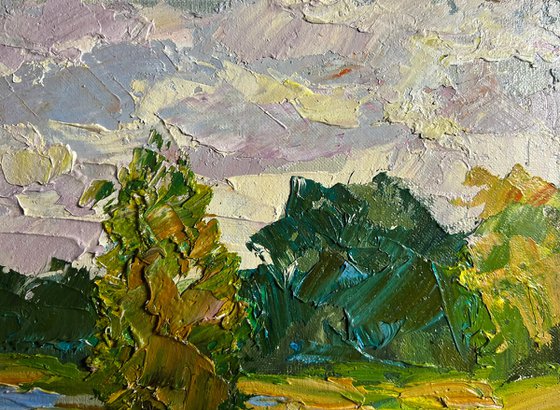 In the Summer Forest