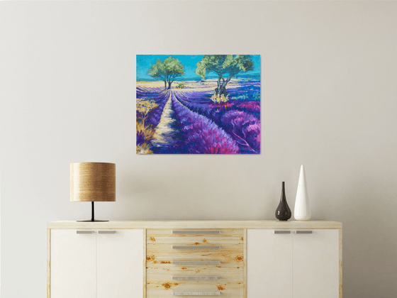Lavender fields