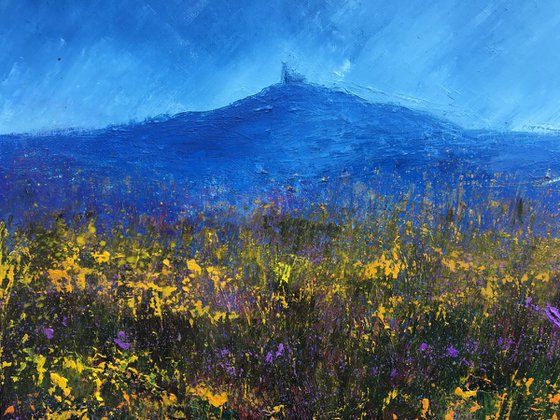 Heather And Gorse At Brentor