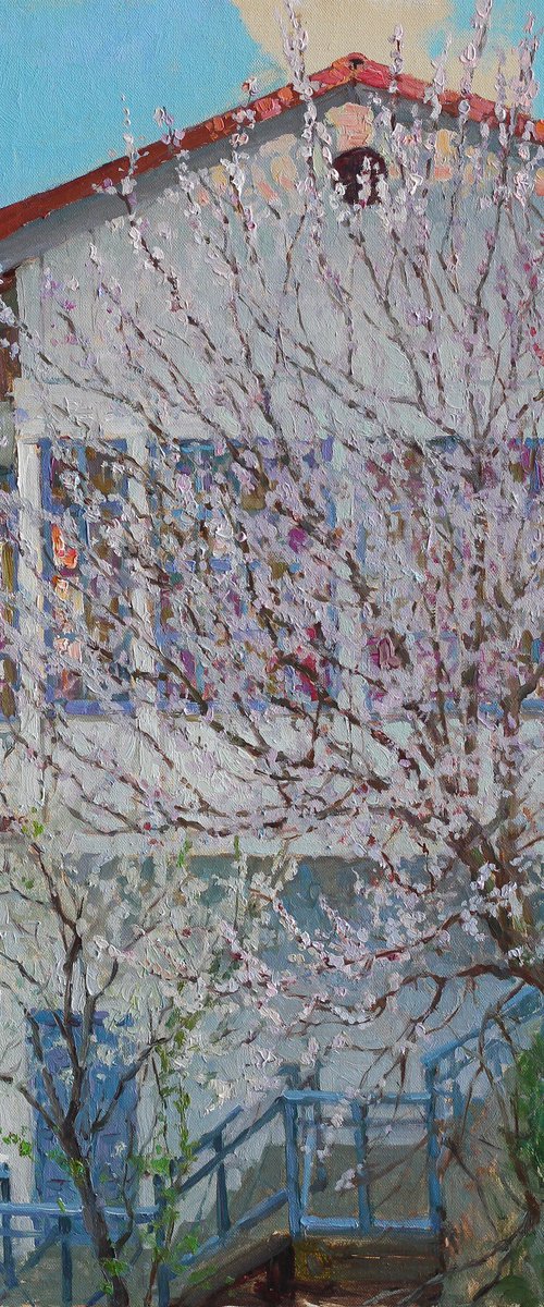 Cherry blossom by Diana Art