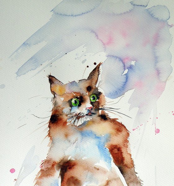 Resting cat