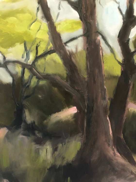 A Glimmer of Spring