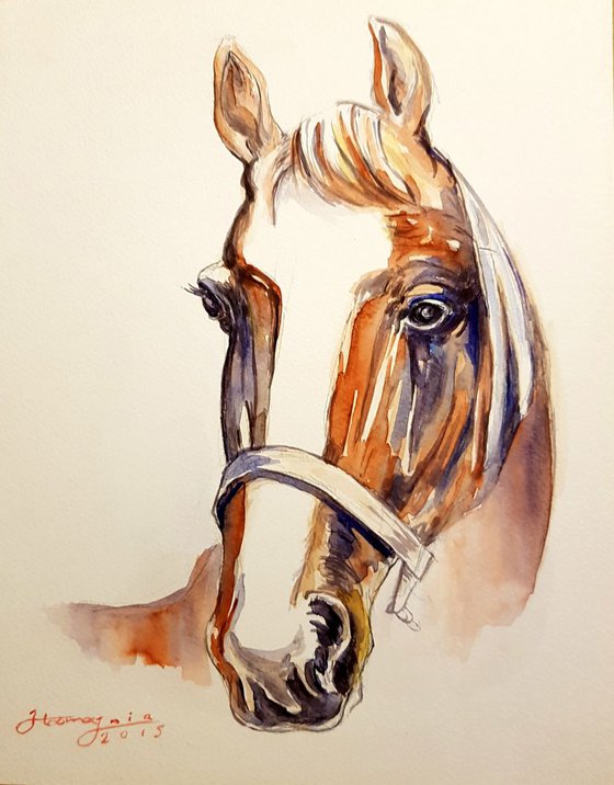 Horse by watercolor