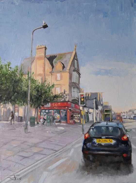 Plasmawr Road/Albany Road Cardiff