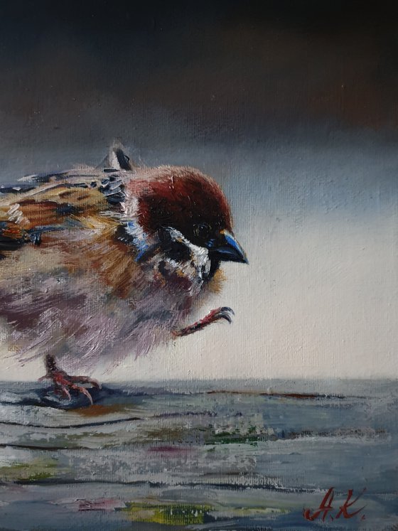 "What a wind! " sparrow birds 2021