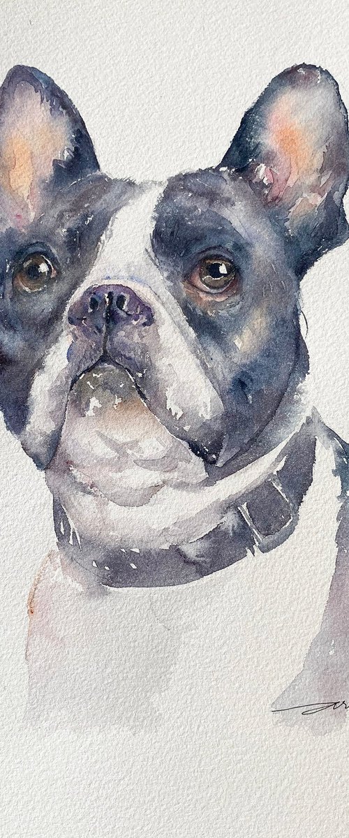 French Bulldog Fitz by Arti Chauhan