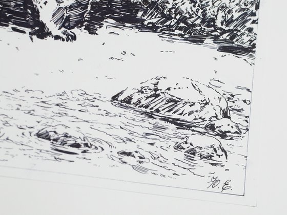 Imagining Bears