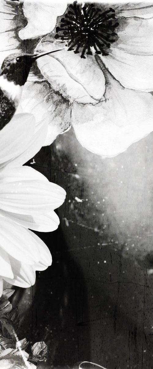 LOTUS FLOWER by Carmelita Iezzi