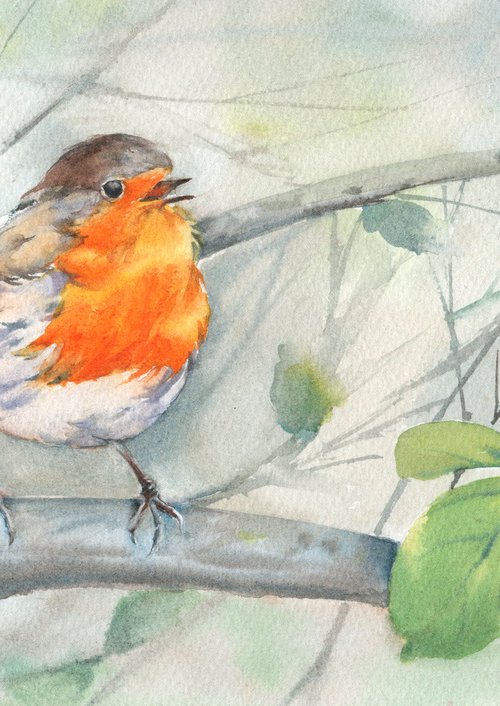 Singing Robin by Anjana Cawdell