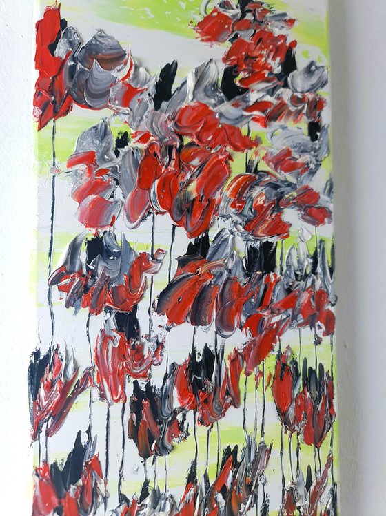 Poppy Flowers 1