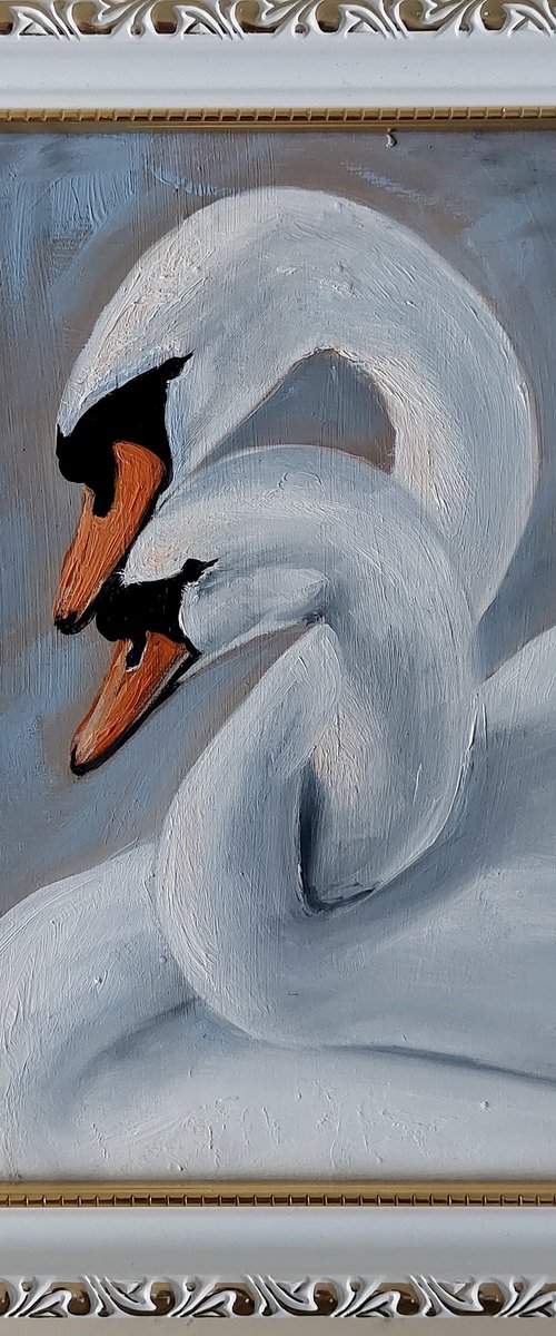 Swan Symphony by Ira Whittaker