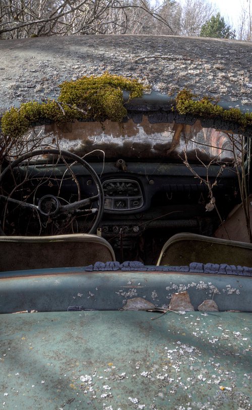 Back Seat Driver by Tim Knifton