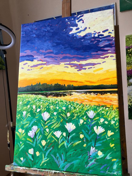 Summer day. Sunset