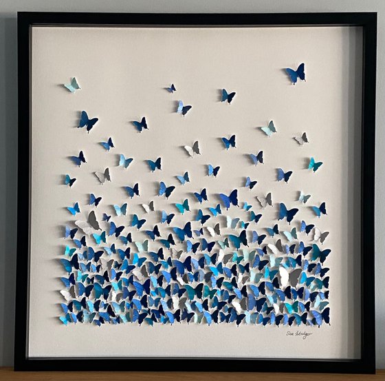 Butterflies - a study in blue