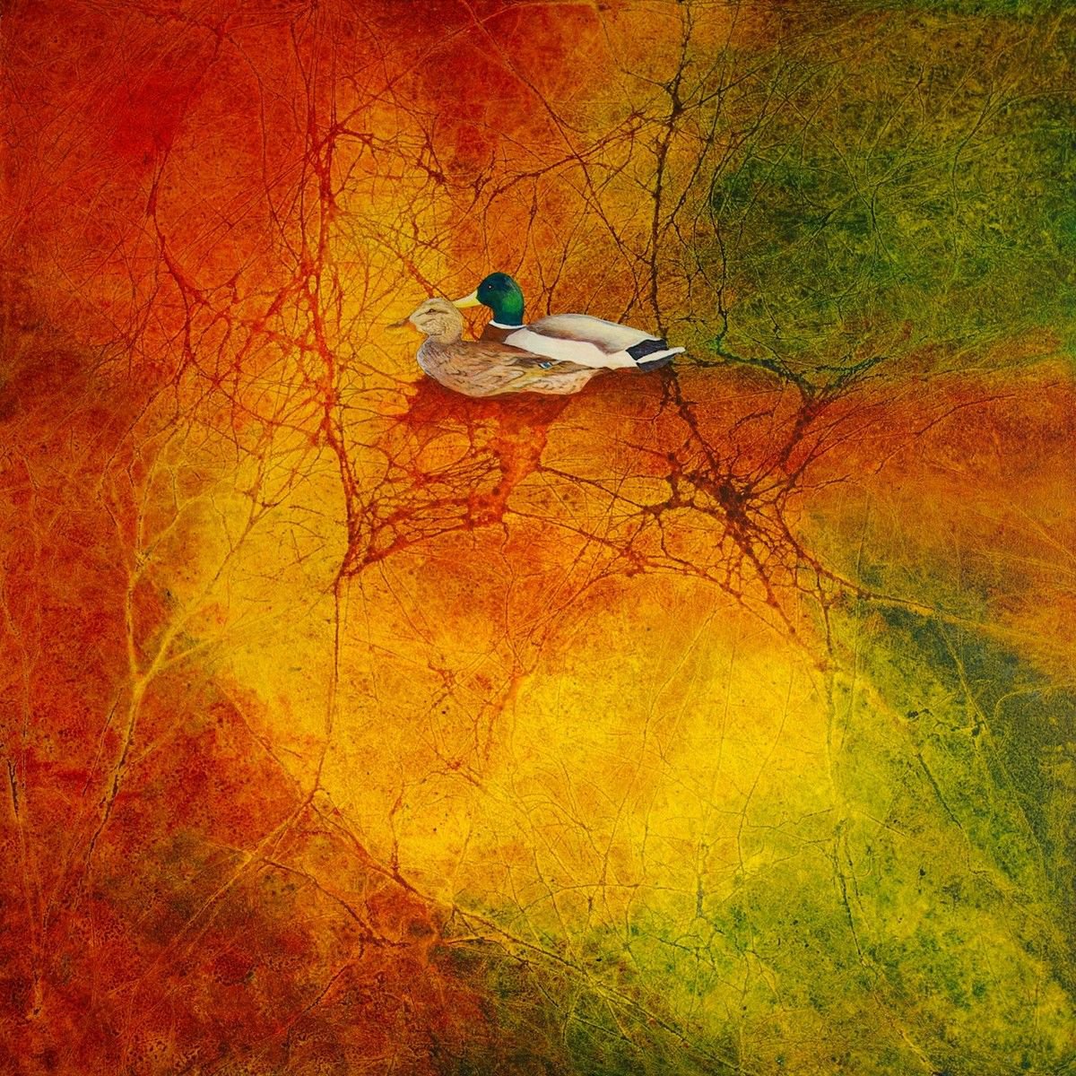 Mallard Ducks By Oconnart, 32 X 32, Artwork For Sale On Artfinder