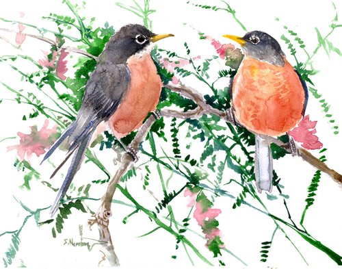 Two Birds, American Robin by Suren Nersisyan