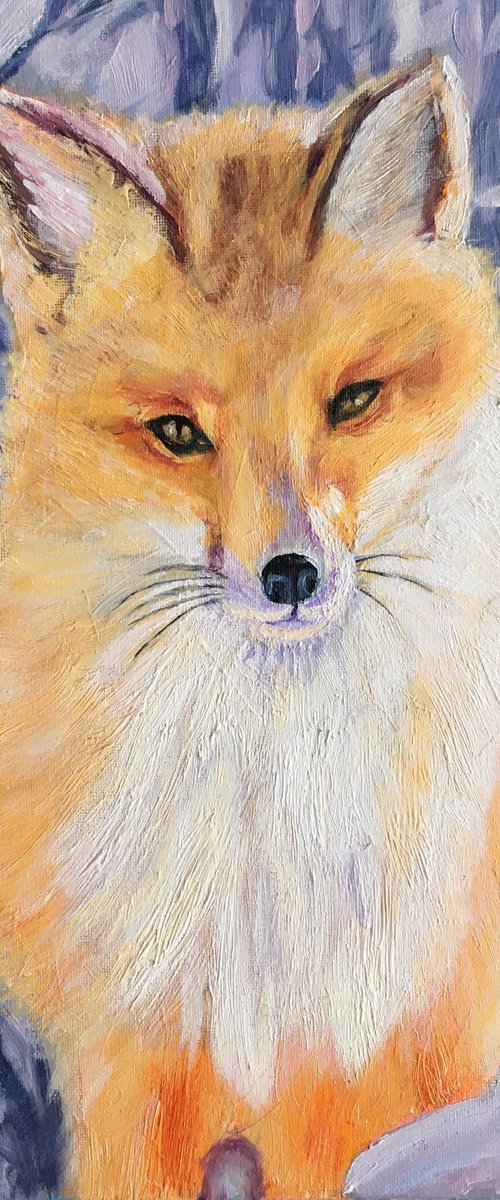 Winter fox by Elena Sokolova