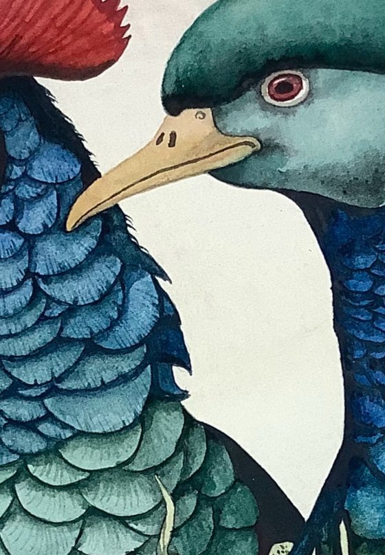 Red and Blue Crested Birds