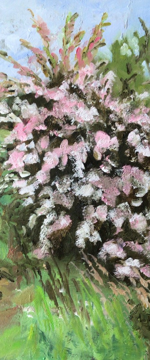 Wild Hawthorns by Julian Lovegrove Art