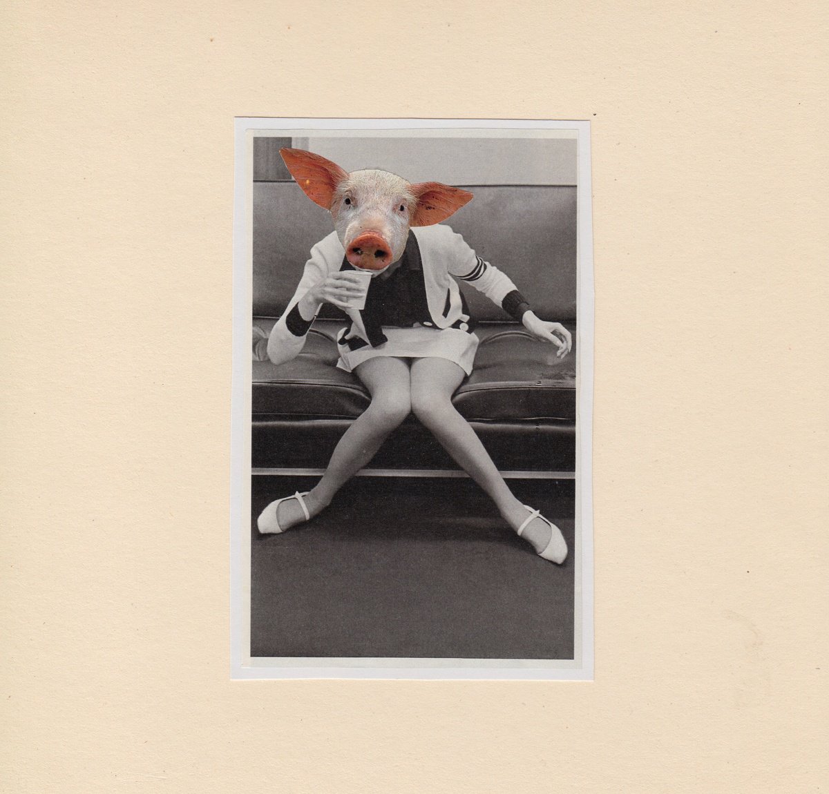 Animal Collage By Jon Garbet, 9 X 9, Morning Break, Original Artwork