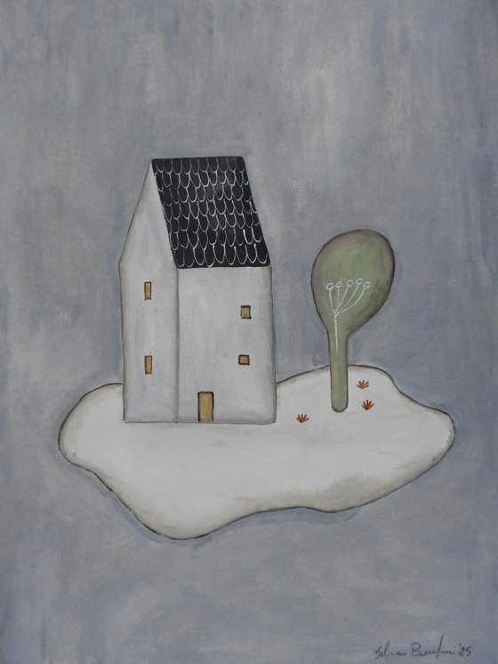 The house in the night