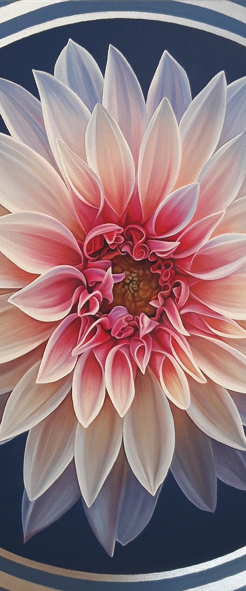"The star is born", flower dahlia painting by Anna Steshenko