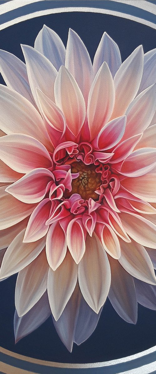 "The star is born", dahlia by Anna Steshenko