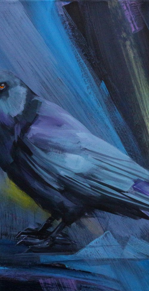 The Raven | Crow | Black Bird by Trayko Popov