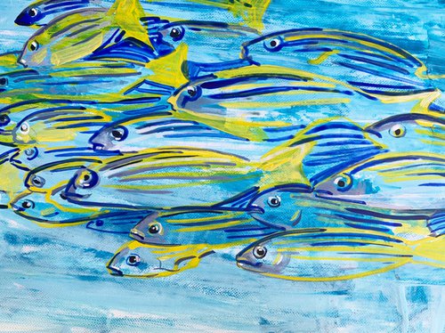 Caribbean fish by Olga Pascari