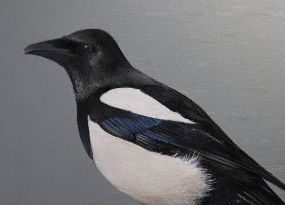 Magpie, Oil Painting, Bird Artwork, Animal Art Origina, Not Print