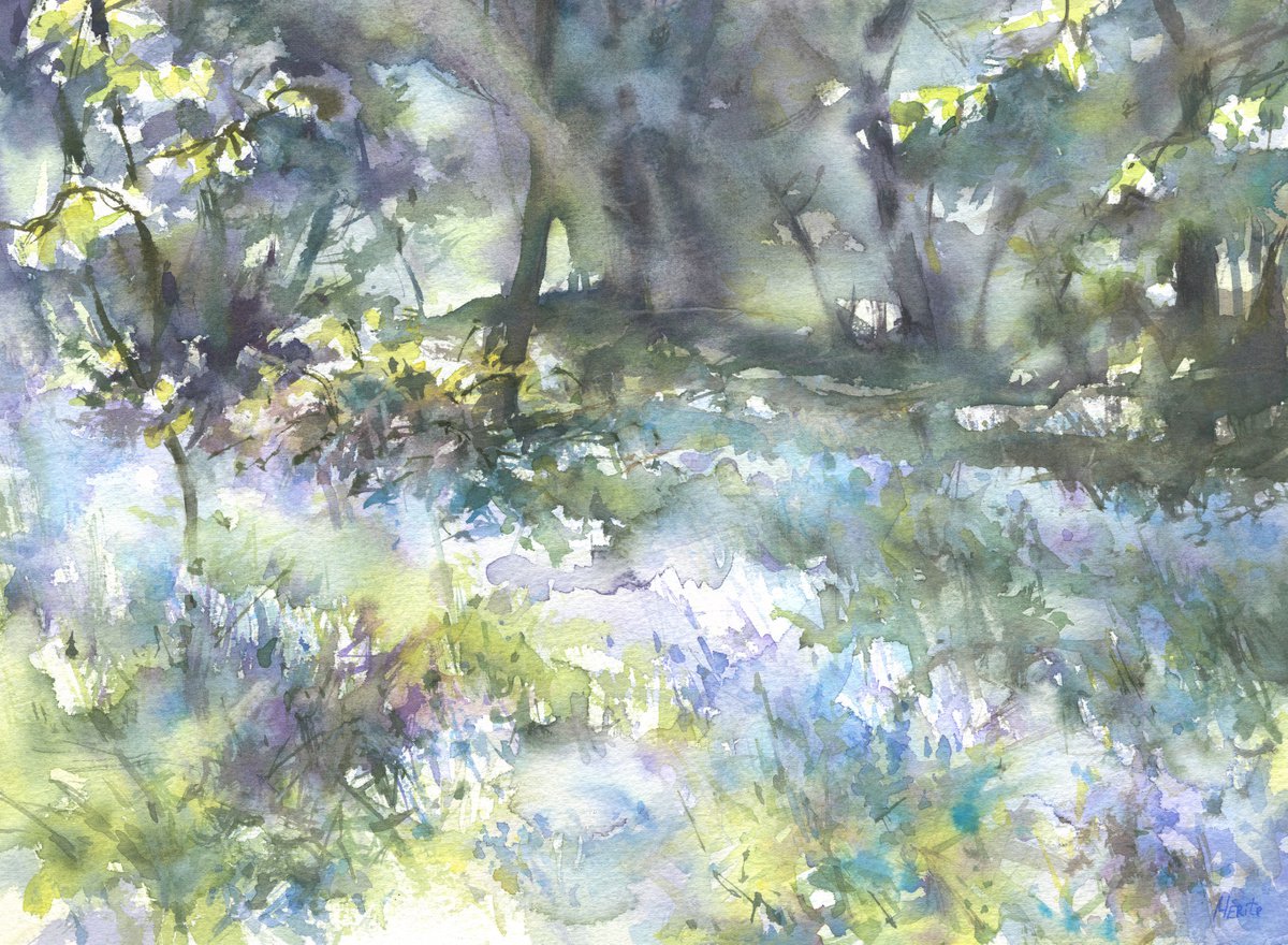Bluebells of Sidmouth woods -2 by Merite Watercolour