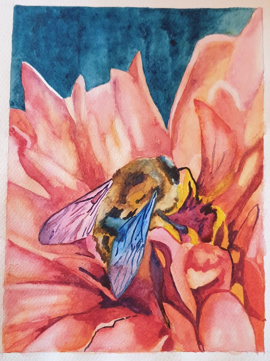 Buzz by Nicky Campbell
