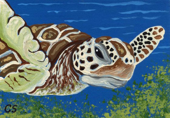 ACEO ATC Original Miniature Painting Sea Turtle Marine Wildlife Art-Carla Smale