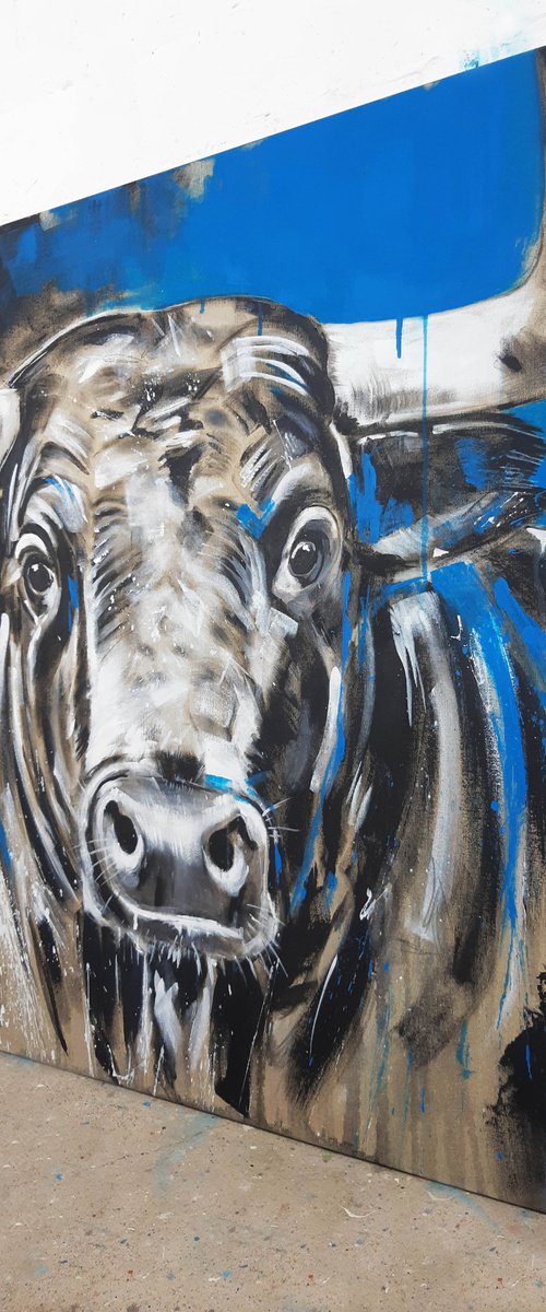 TAURUS #6 – Close up portrait of a bull by Stefanie Rogge