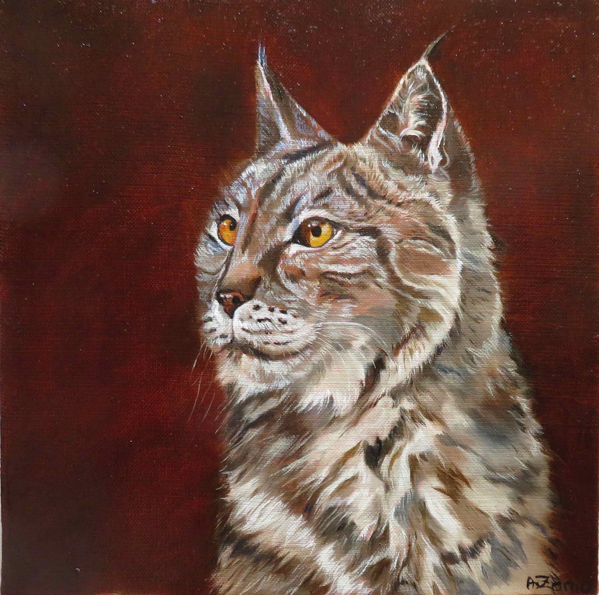 Lynx Portrait by Anne Zamo